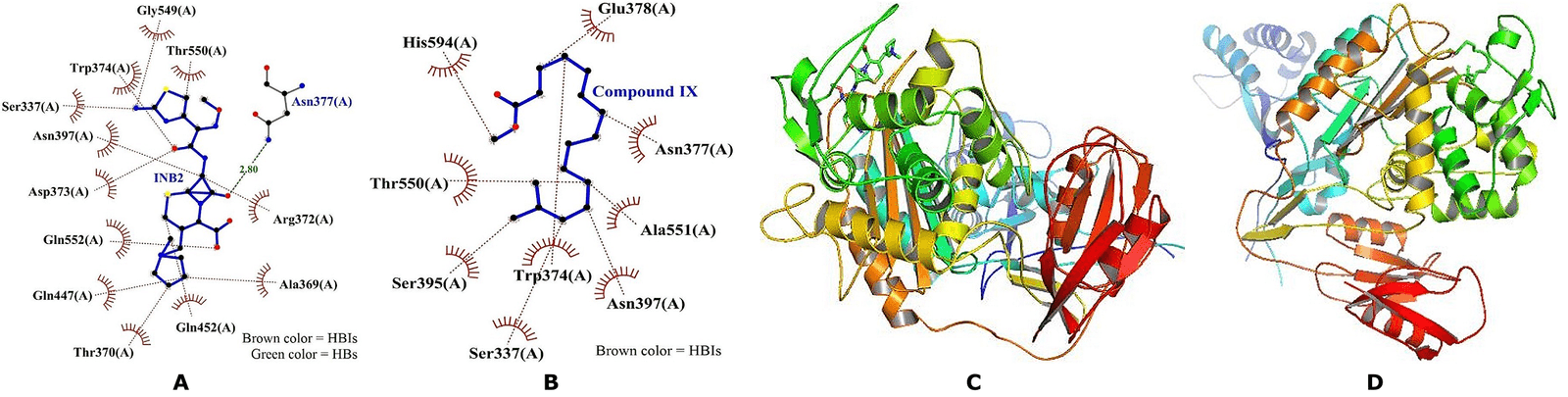 Figure 3. 2D and 3D interactions of PBP2X with Cefepime and Methyl palmitate. (A) 2D Cefepime; (B) 2D Methyl palmitate; (C) 3D Cefepime; and (D) 3D Methyl palmitate.