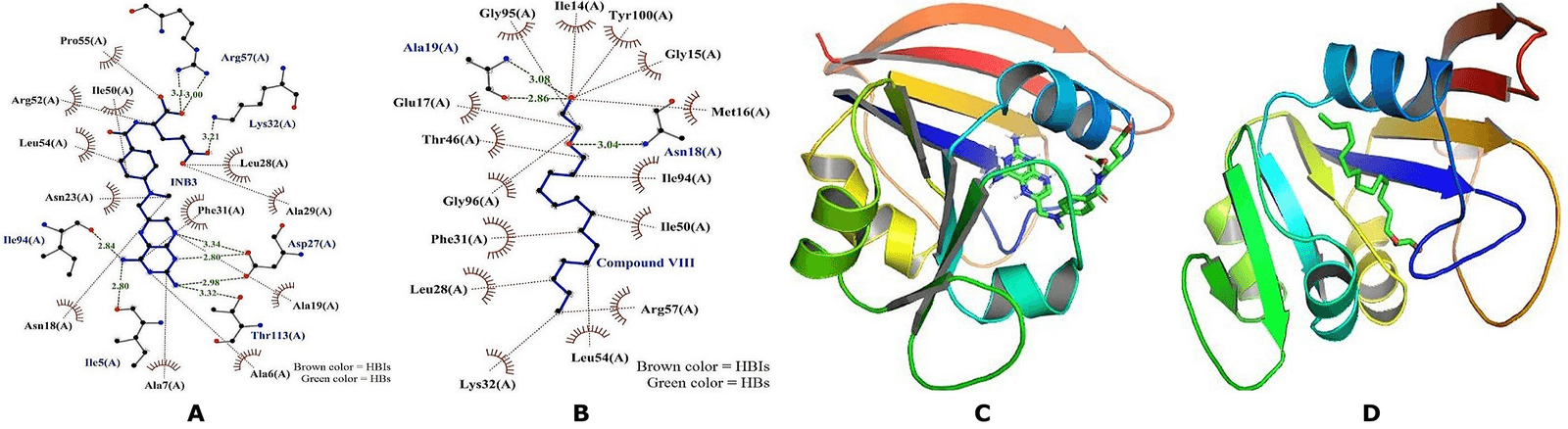 Figure 4. 2D and 3D interactions of DR with INB3 and compound VIII. (A) 2D Methotrexate; (B) 2D 2-(Tetradecyloxy) Ethanol; (C) 3D Methotrexate; and (D) 3D 2-(Tetradecyloxy) Ethanol.