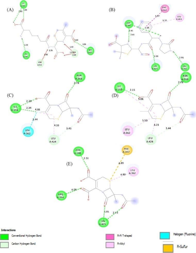 In Silico Design and Screening of Cephalosporin Derivatives for Their Inhibitory Potential Against Haemophilus influenza