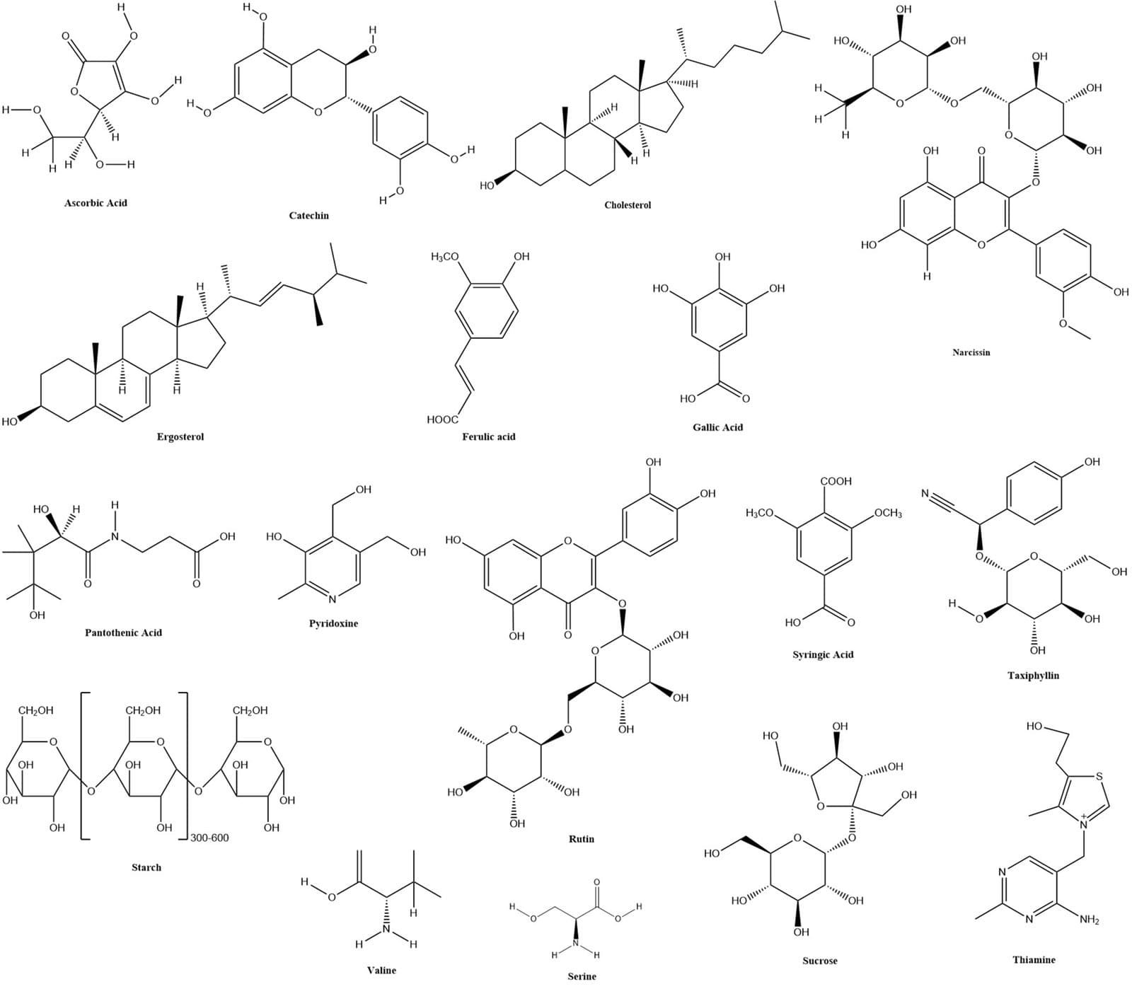 Bambusa vulgaris: A Comprehensive Review of Its Traditional Uses, Phytochemicals and Pharmacological Activities