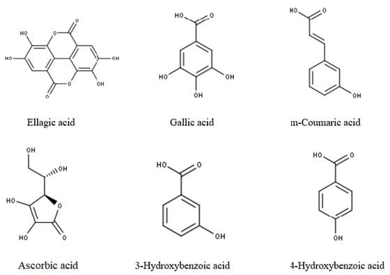 An Updated Review of Rubus ellipticus (an Edible Shrub), Its Bioactive Constituents and Functional Properties