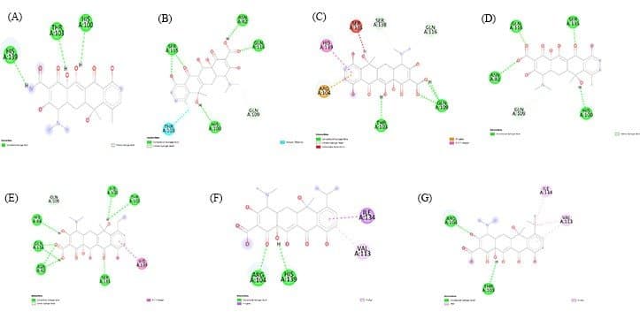 Design and Screening of Tetracycline Antibiotics: An In Silico Approach