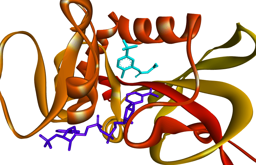 A Beginner’s Guide to Molecular Docking
