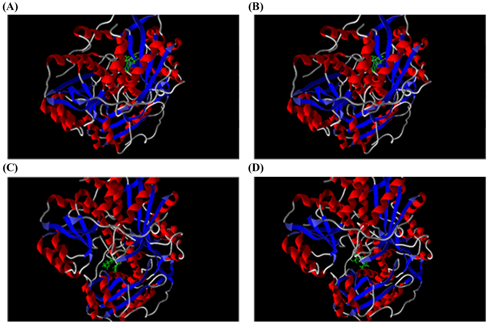 Inhibitory Effect of Herbal Compounds on the Oxygen-Insensitive NADPH Nitro Reductase Enzyme of Metronidazole-Resistant Helicobacter pylori