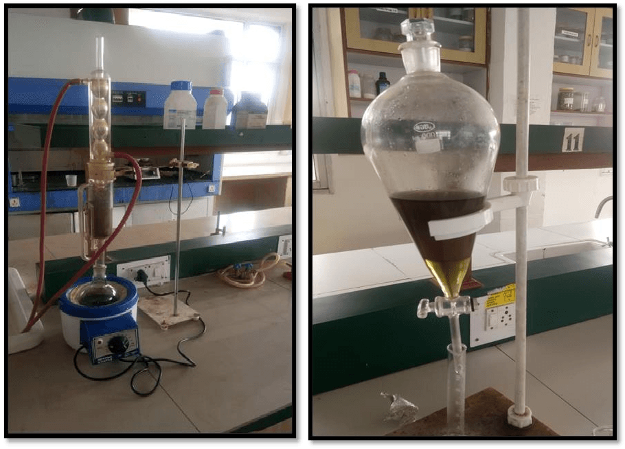 In Vitro and In Silico Evaluation of Brugmansia suaveolens' Ability to Treat Asthma