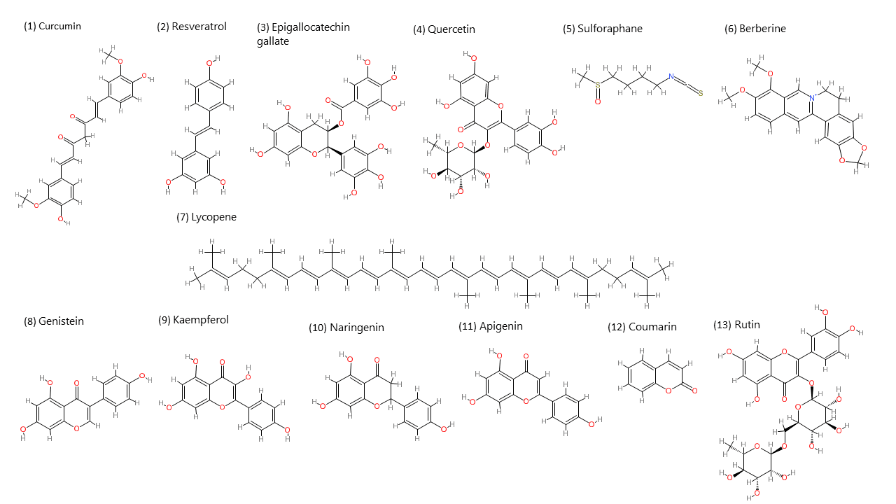 Phytochemicals Modify the Action of Cancer Cells Mitochondrial Drug-Resistance Mechanism