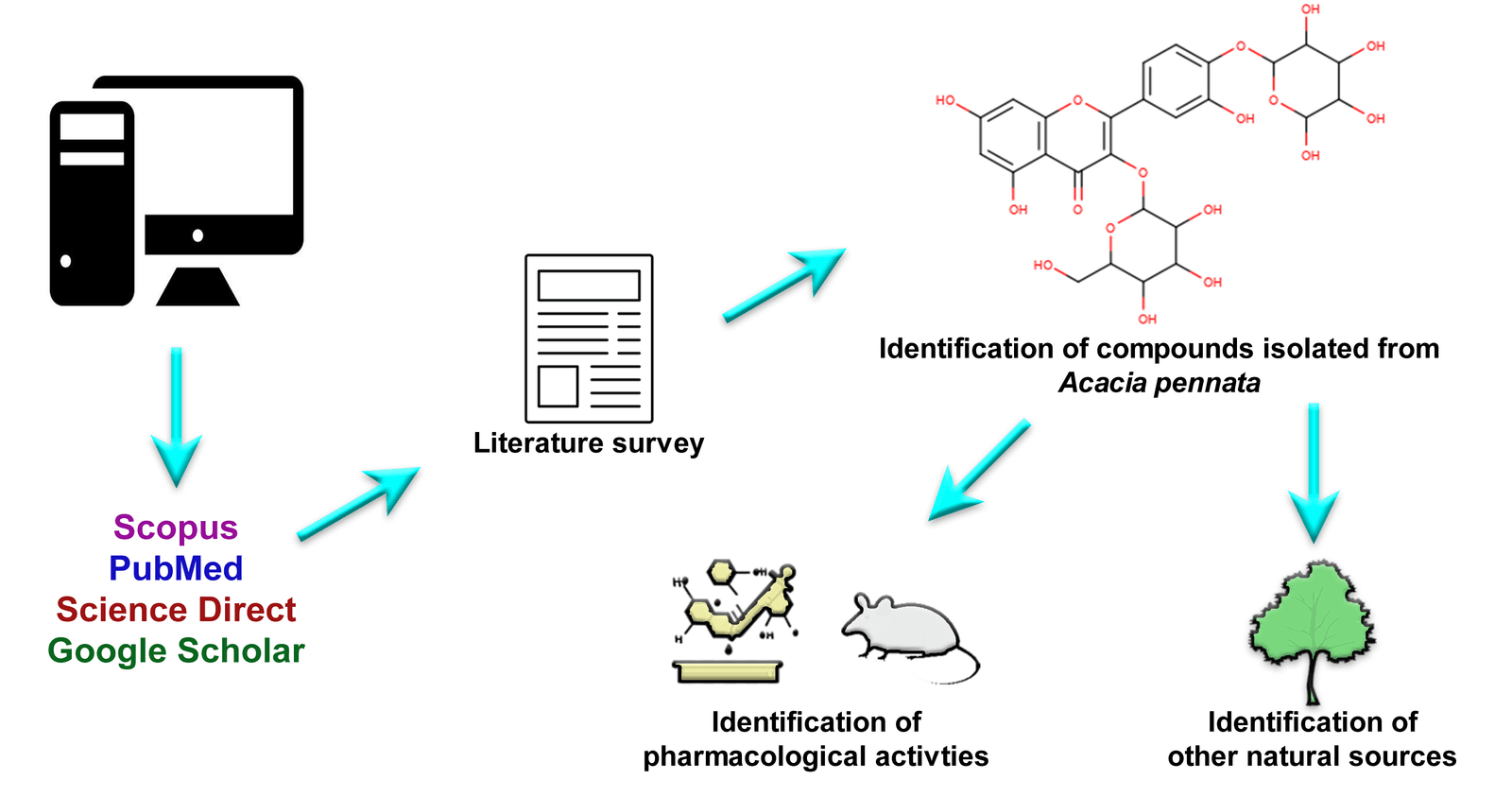 Pharmacological Activities of Bioactive Compounds Isolated from Acacia pennata (l) Willd: A Comprehensive Update and Application of In Silico Techniques for Repurposing