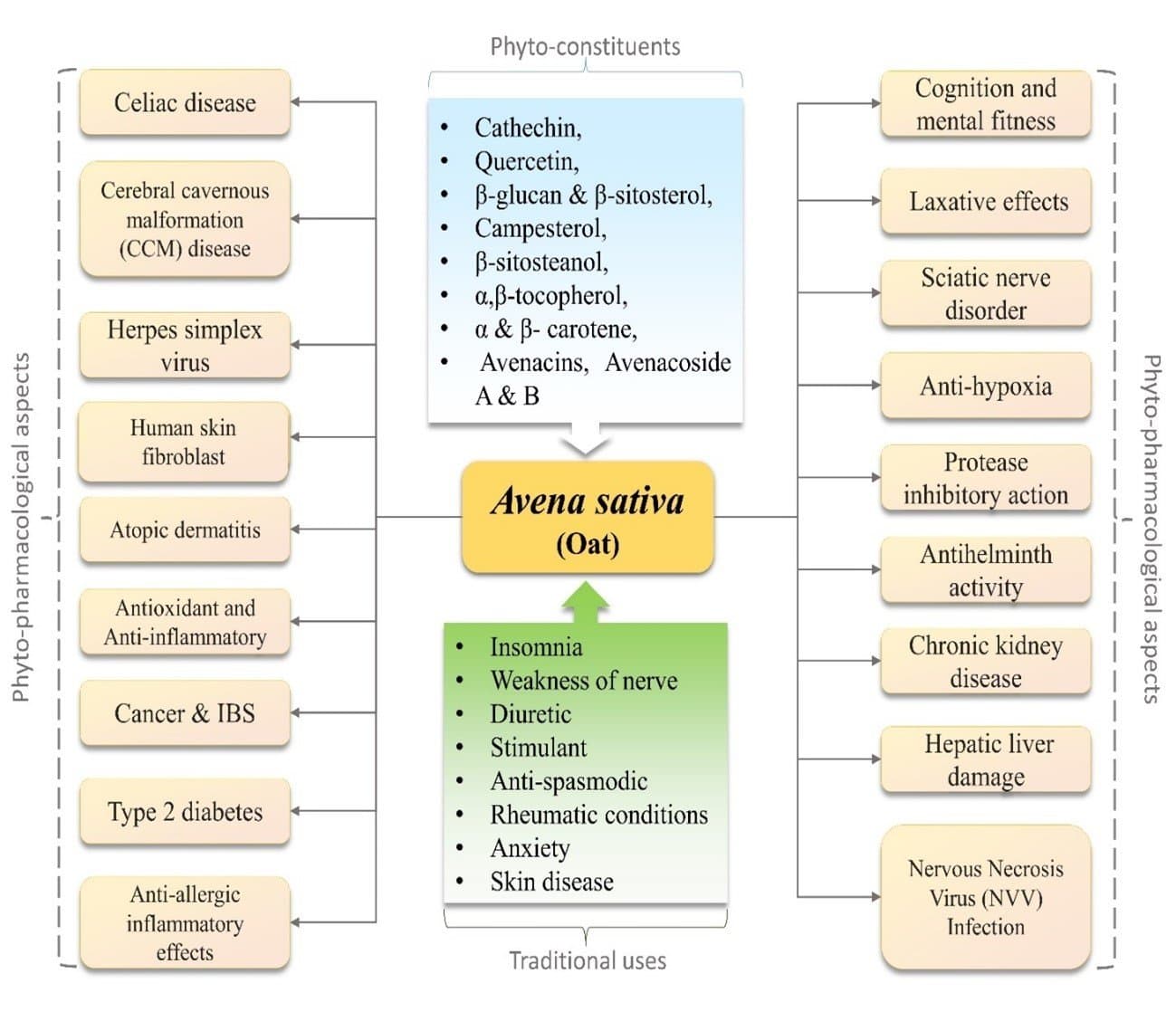 Ethnobotany and Phytopharmacology of Avena sativa: A Qualitative Review