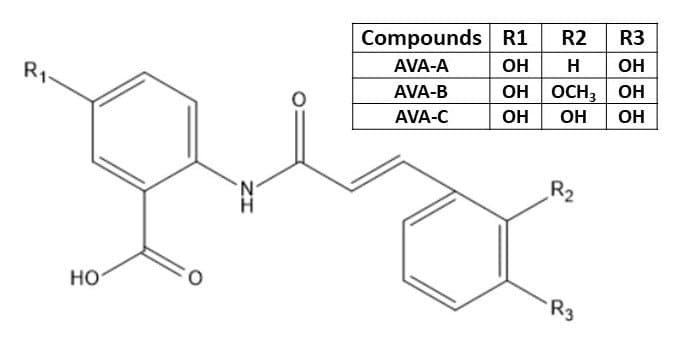 Figure 1. Structure of avenanthramides (AVA) i.e., p- coumaric (AVA-A), ferulic acid (AVA-B), and caffeic acid (AVA-C).