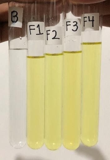 Figure 1. Nanosuspension of curcuma rhizome dry extract on day 5th.
