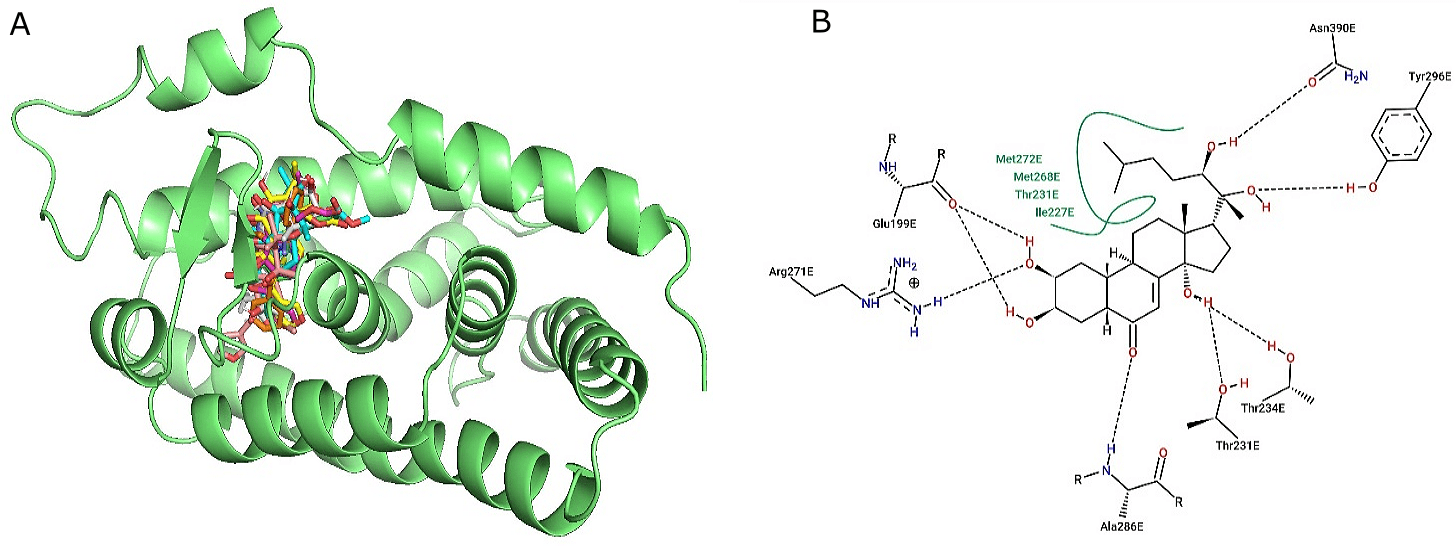 Figure 2. The ecdysone receptor pocket of the target protein in (A) 3D format docked with the the six limonoids, RH5849, and ponasterone A, and (B) 2D structure showing interactions of the relevant amino acids associated with the receptor pocket of the protein 1z5x with ponasterone A.