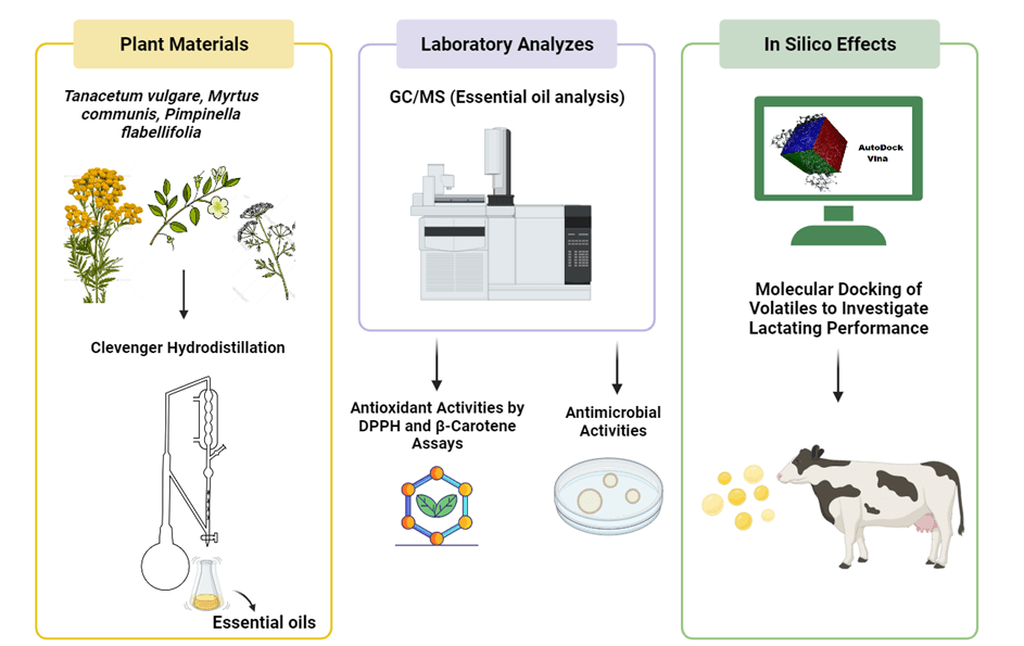 Chemical profiling of essential oils: Investigations into modulating milk production in dairy cows using in silico methods