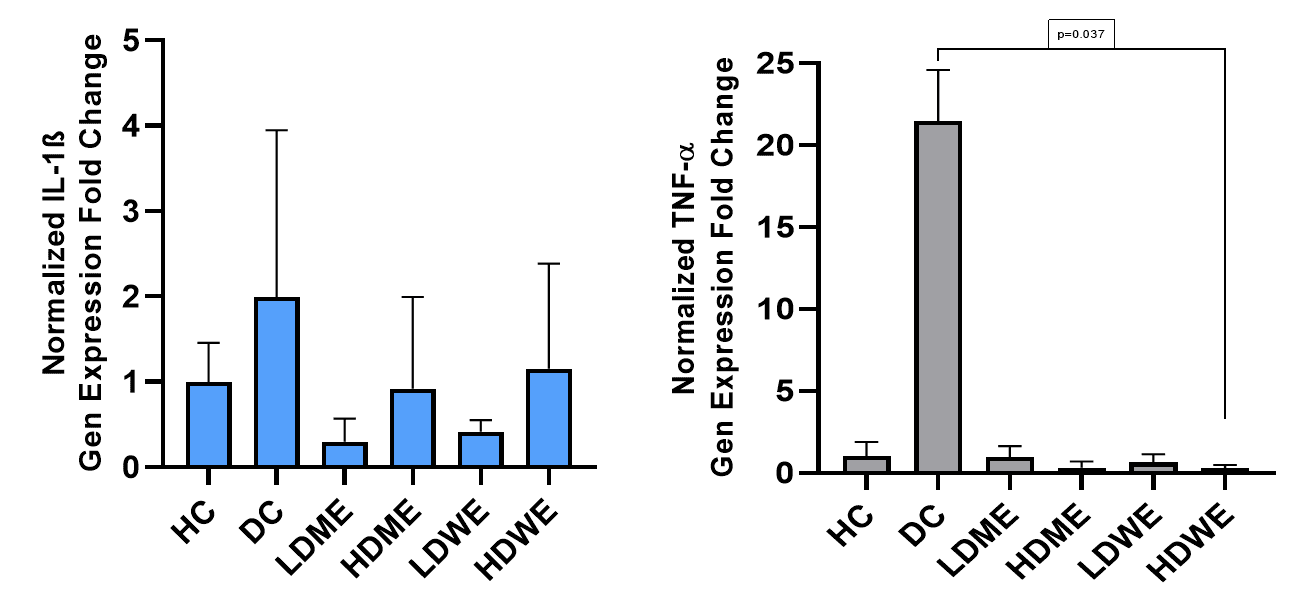Figure 5. TNF-α and IL-1β gene expression levels between groups.