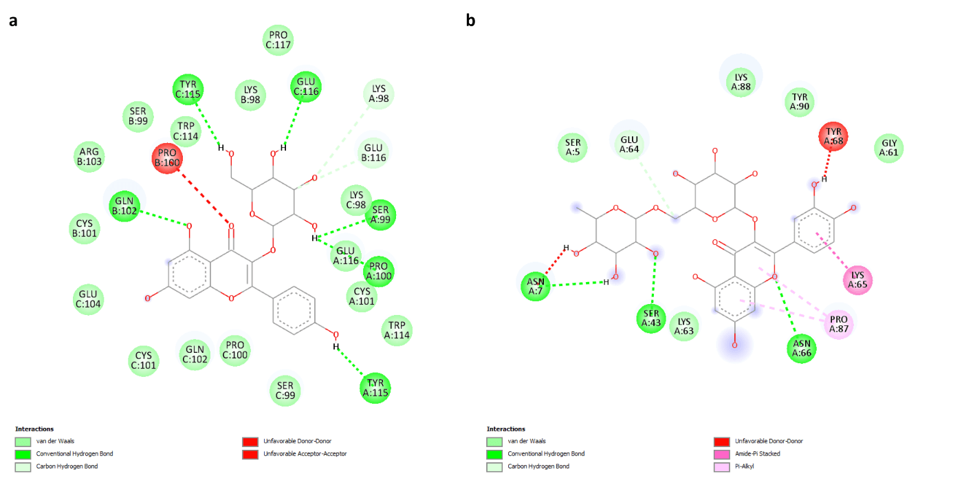 Figure 9. Two dimensional binding geometry of Kaempferol 3-O-glucoside (a) and Rutin (b).