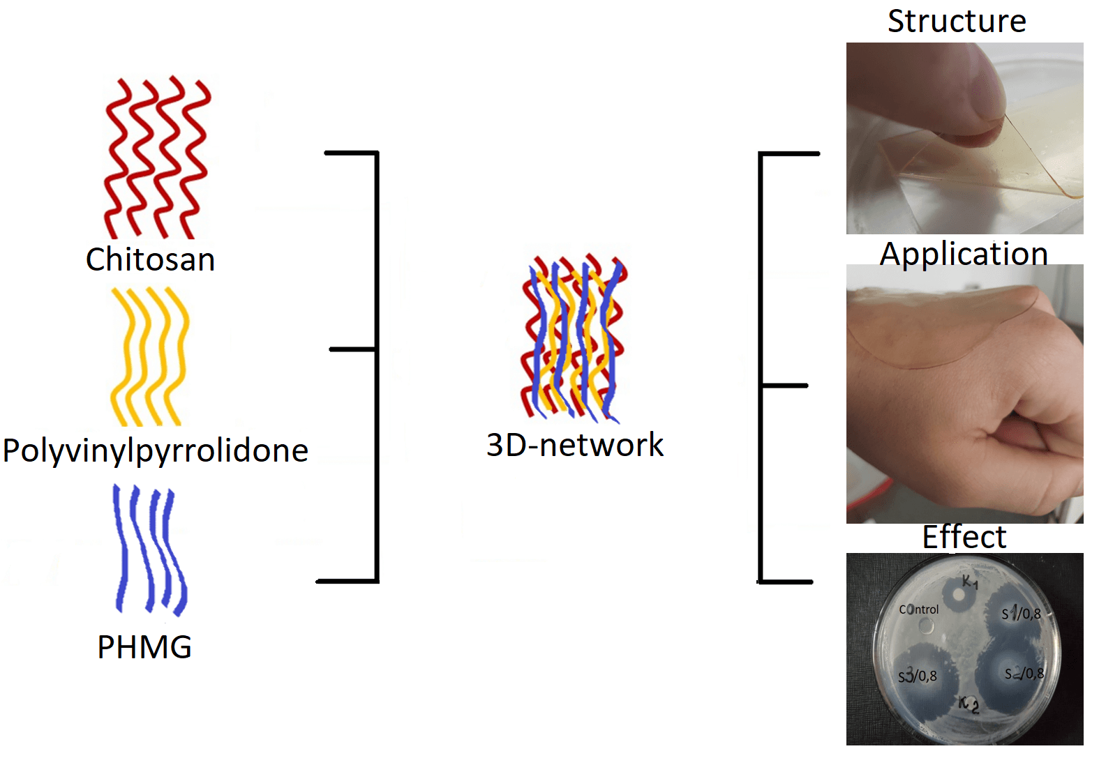 Development of Chitosan-Based Antimicrobial Hydrogel Incorporating Polyvinylpyrrolidone and PHMG