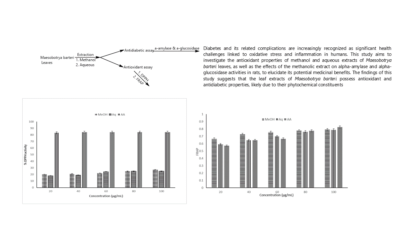 Antioxidant Properties, α-Amylase and α-Glucosidase Inhibitory Activities of Maesobotrya barteri Leaves Extracts in Rats