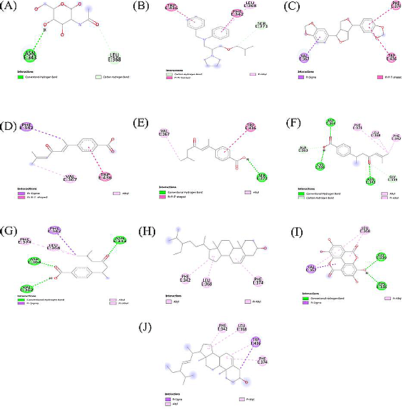 Figure 5. Visualization of 2D-interaction of S-protein with (A) NAG-(Co crystal), (B) Bepridil, (C) (+)-Sesamin, (D) (E)-4-(1,5-dimethyl-3-oxo-1,4-hexadienyl) benzoic acid, (E) (E)-4-(1,5-dimethyl-3-oxo-1-hexenyl) benzoic acid, (F) (R)-4-(1,5-dimethyl-3-oxo-4-hexenyl) benzoic acid, (G) Ar-todomatuic acid, (H) β-Sitosterol, (I) Ellagic acid, (J) Stigmasterol.