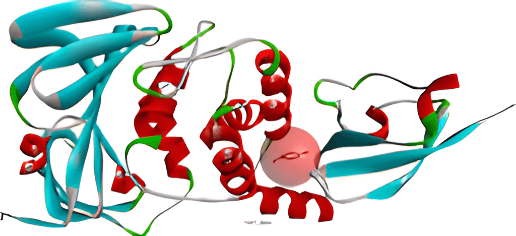 Figure 4. Chain A of papain-like protease with co-crystal ligand.