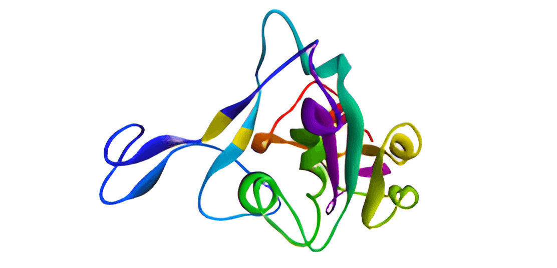 Figure 1. Chain E of S-protein.
