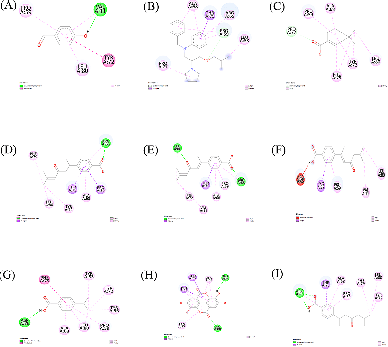 Figure 6. Visualization of 2D-interaction of PL Pro-protein with (A) HBA-(Co crystal), (B) Bepridil, (C) (-)-Isochaminic acid, (D) (R)-4-(1,5-dimethyl-3-oxo-4-hexenyl) benzoic acid, (E) (E)4-(1,5-dimethyl-3-oxo-1,4-hexadienyl)-benzoic acid, (F) (E)-4-(1,5-dimethyl-3-oxo-1-hexenyl) benzoic acid, (G) Cumic acid, (H) Ellagic acid, (I) Ar-todomatuic acid.