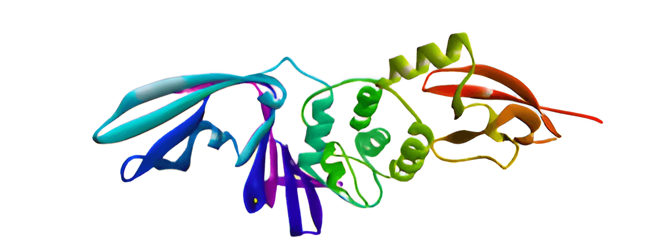 Figure 2. Chain A of PL pro.