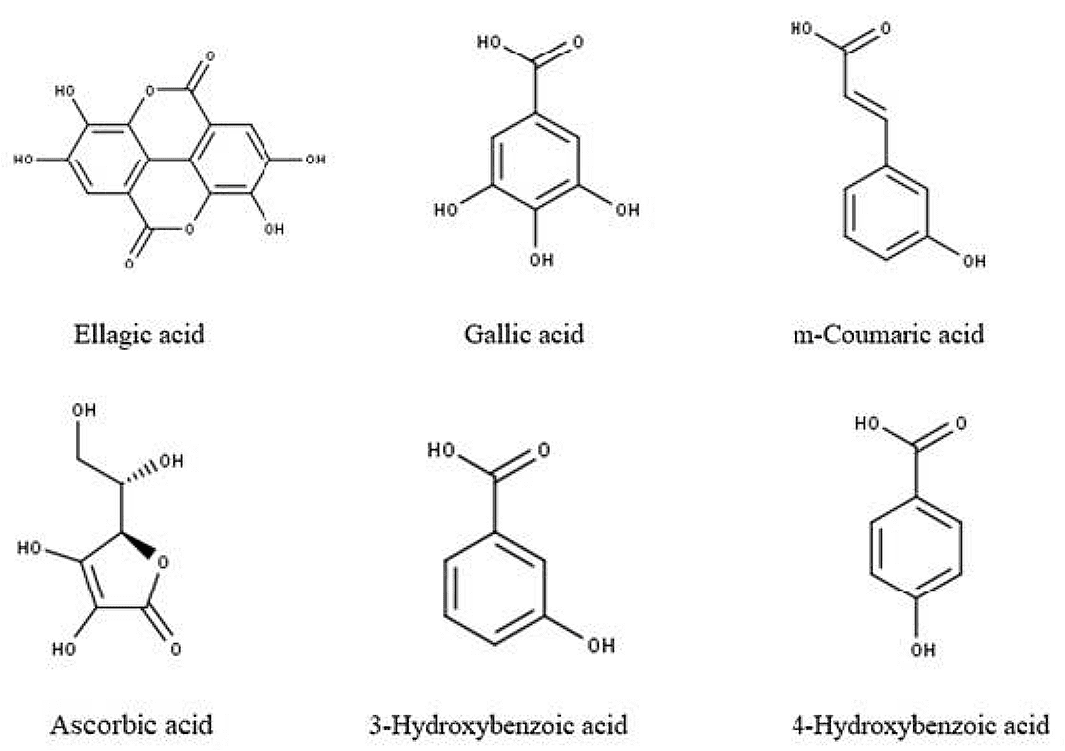 Figure 1. Chemical structures of some compounds that are found in the fruit extract of R. ellipticus.