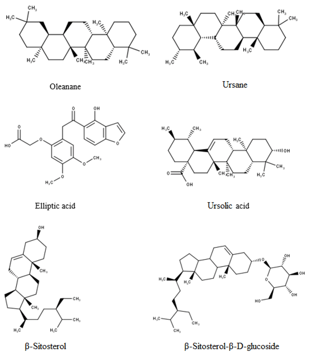 Figure 2. Chemical structures of some compounds that are found in the leaf extract of R. ellipticus.