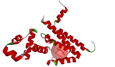 Figure 3. Chain A of 2TCT (Tet Repressor) with co-crystal inhibitor.