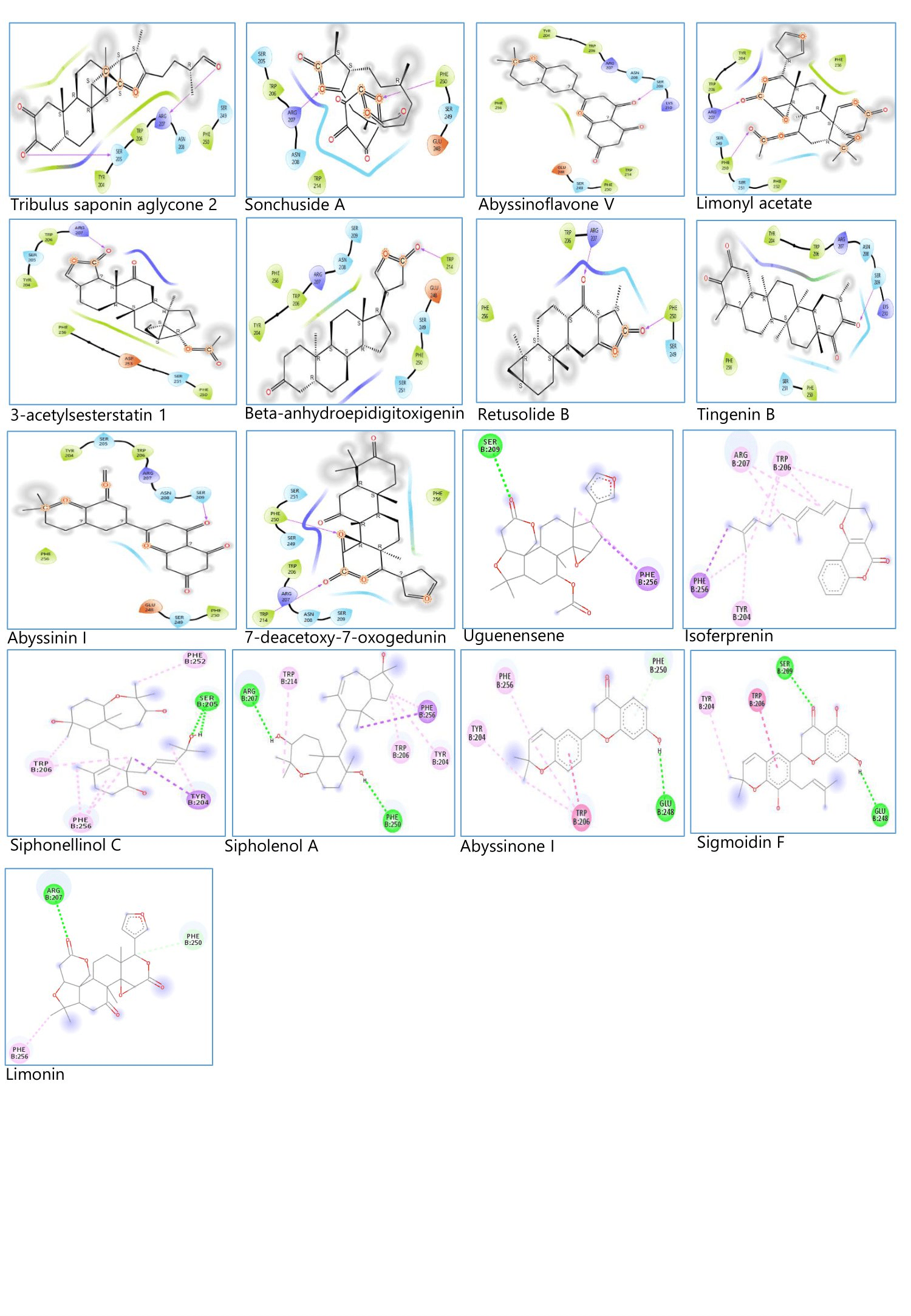 Figure 3. Frontrunner phytocompounds-Caspase 3 binding amino.