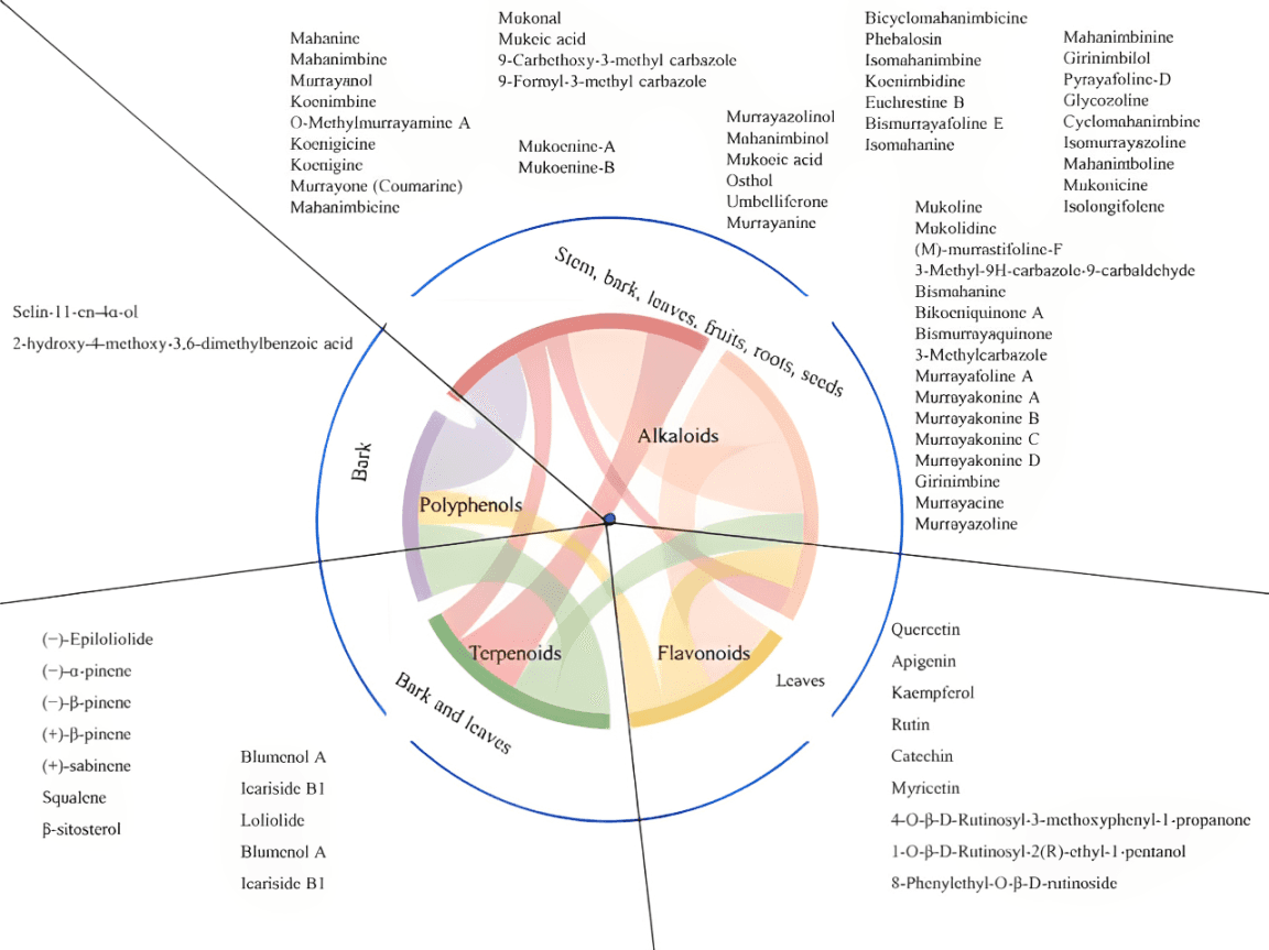 Figure 1. List of phytochemicals present in Murraya koenigii (16, 33, 40).