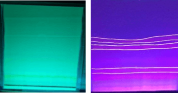 Figure 1. Isolates of ethyl acetate fraction on TLC-P.