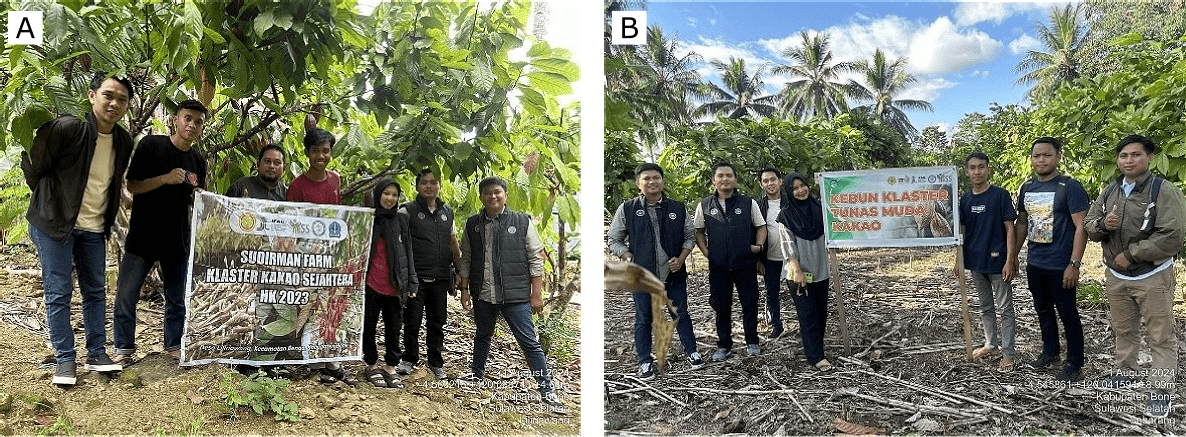 Gambar 3. Penerima dana hibah kompetitif. (A) Sudirman Farm Klaster Kakao Sejahtera dan (B) Kebun Klaster Tunas Muda Kakao. Sumber: Instagram program YESS Bone.
