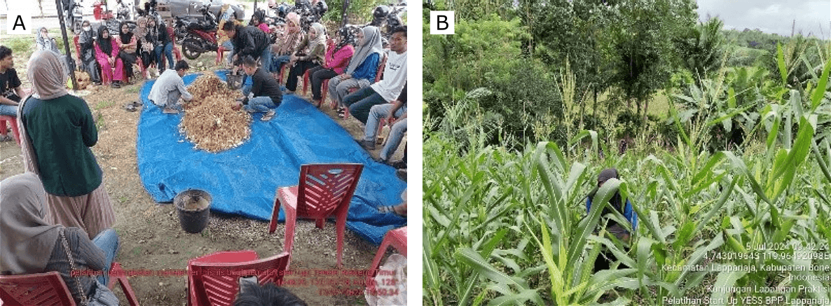 Gambar 2. Pelatihan dalam program Youth Entrepreneurship and Employment Support Services terkait bertani (A) bawang dan (B) jagung. Sumber: Instagram program YESS Bone.
