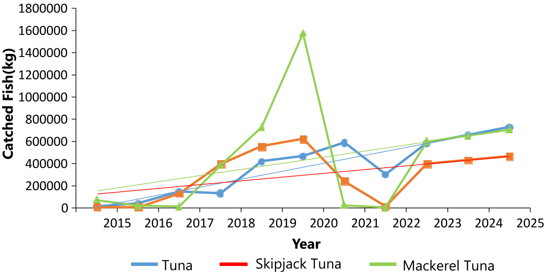 Figure 3. Trend graph of tuna, skipjack, and mackerel tuna catches.