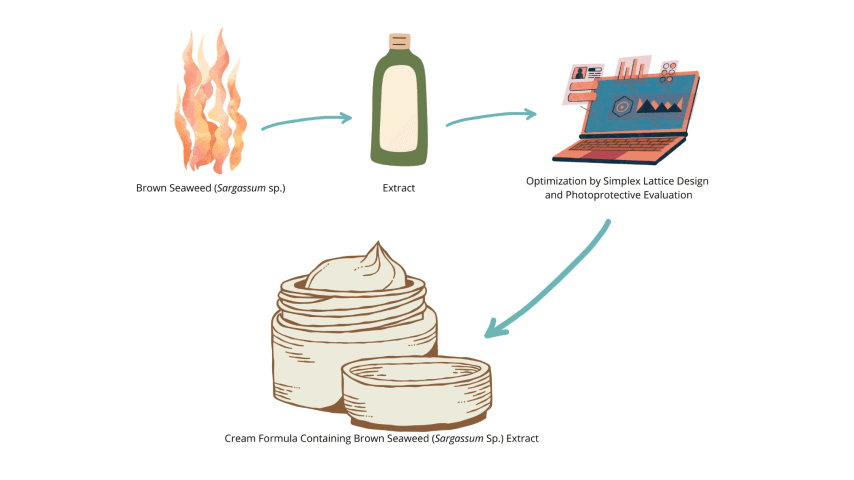 Photoprotective Cream Containing Brown Seaweed (Sargassum Sp.) Extract: Optimization By Simplex Lattice Design