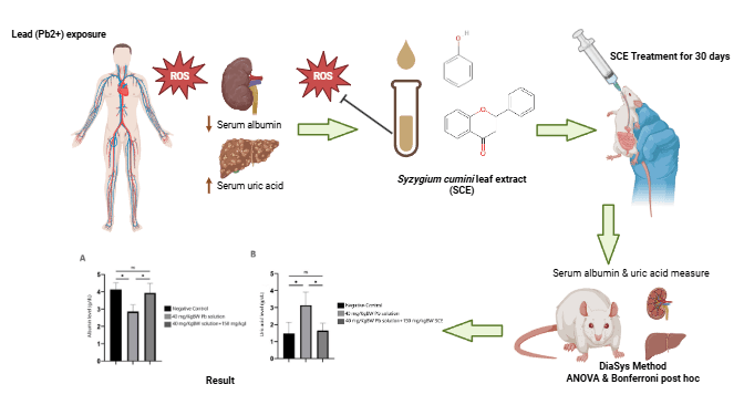 Protective Effects of Java Plum (Syzygium cumini) Leaf Extract on Serum Biomarkers in Lead-Exposed Rats