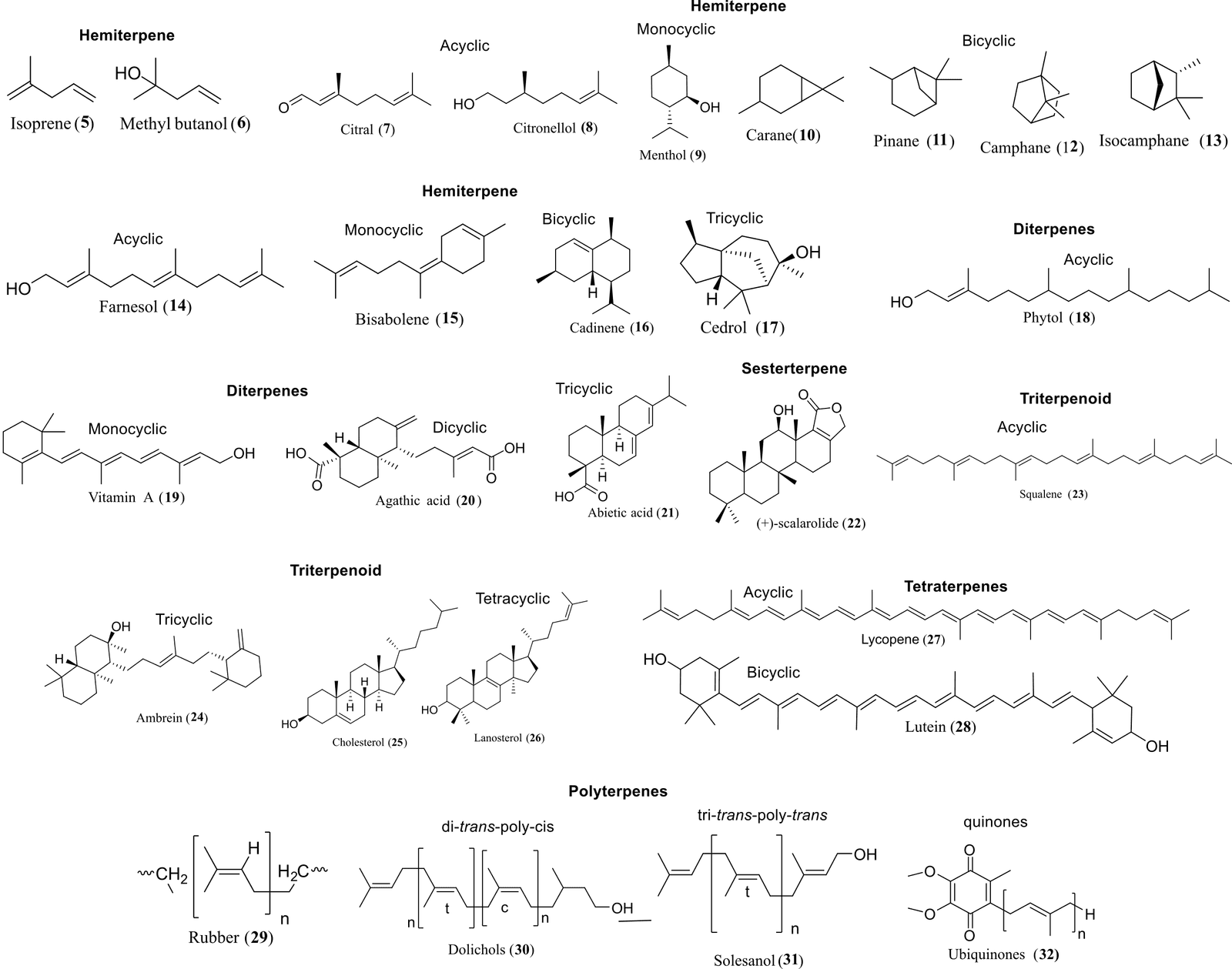 Figure 6. Terpenes classification and chemical structures.
