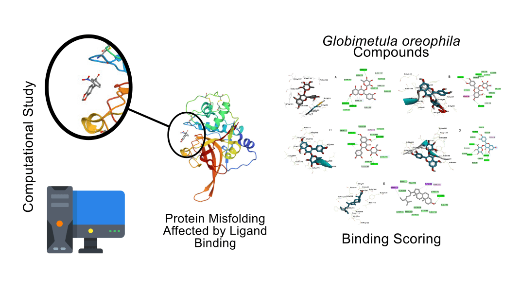 Antimalarial Activity of Globimetula oreophila Compounds: In Silico Docking Investigations on Plasmodium falciparum Protease