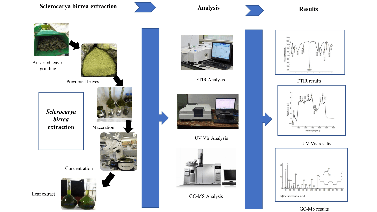 Phytochemical characterization of Marula (Sclerocarya birrea) ethanolic leaf extract: A Precursor for Green Corrosion Inhibitor Development
