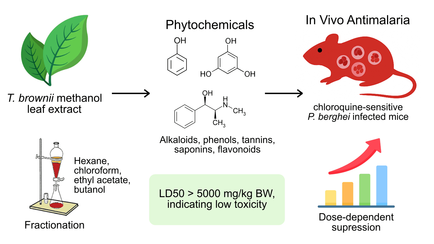 Exploring the Anti-Malarial Potential of Terminalia brownii Fresen: A Phytochemical and Biological Activity Study