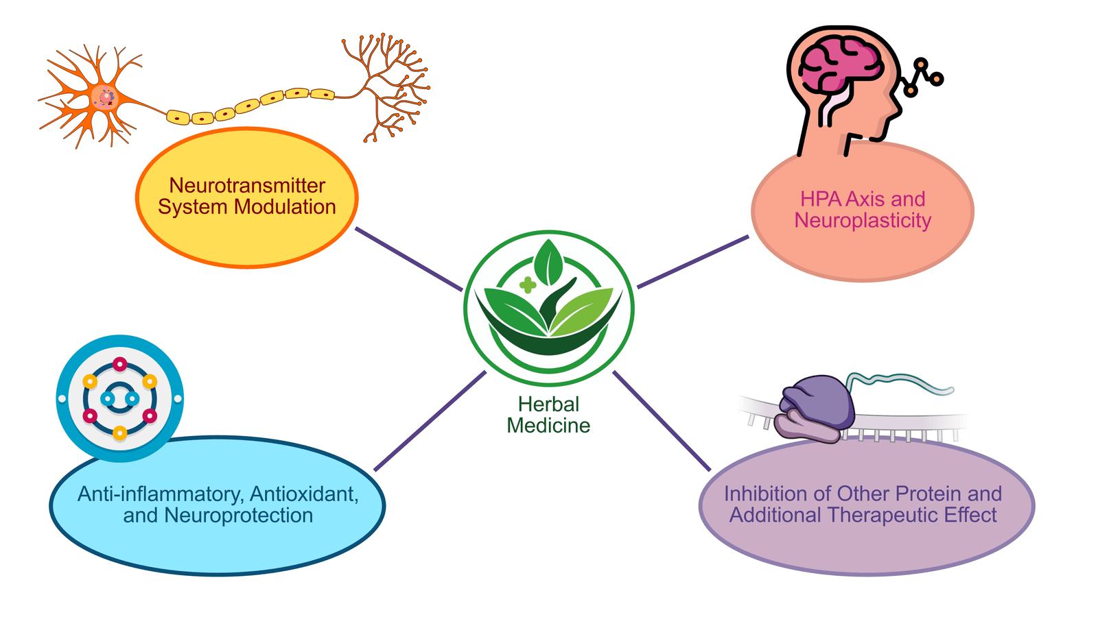 Phytochemical Modulation of Neurotransmitter Systems and Neuroplasticity in Depression and Anxiety: A Mechanistic Review