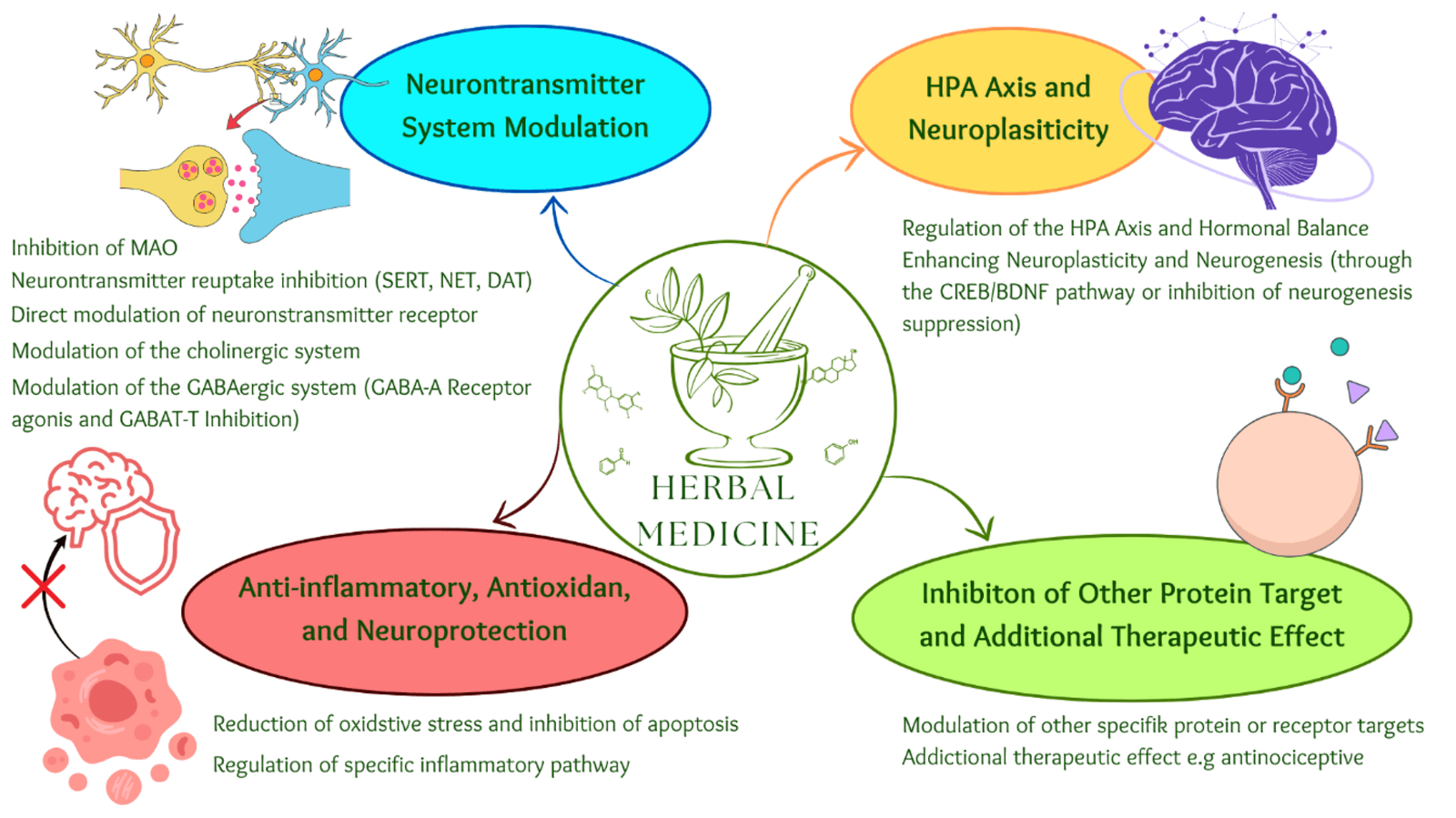 Figure 2. Mechanisms of action of potential plant-based compounds with antidepressant and anxiolytic effects.