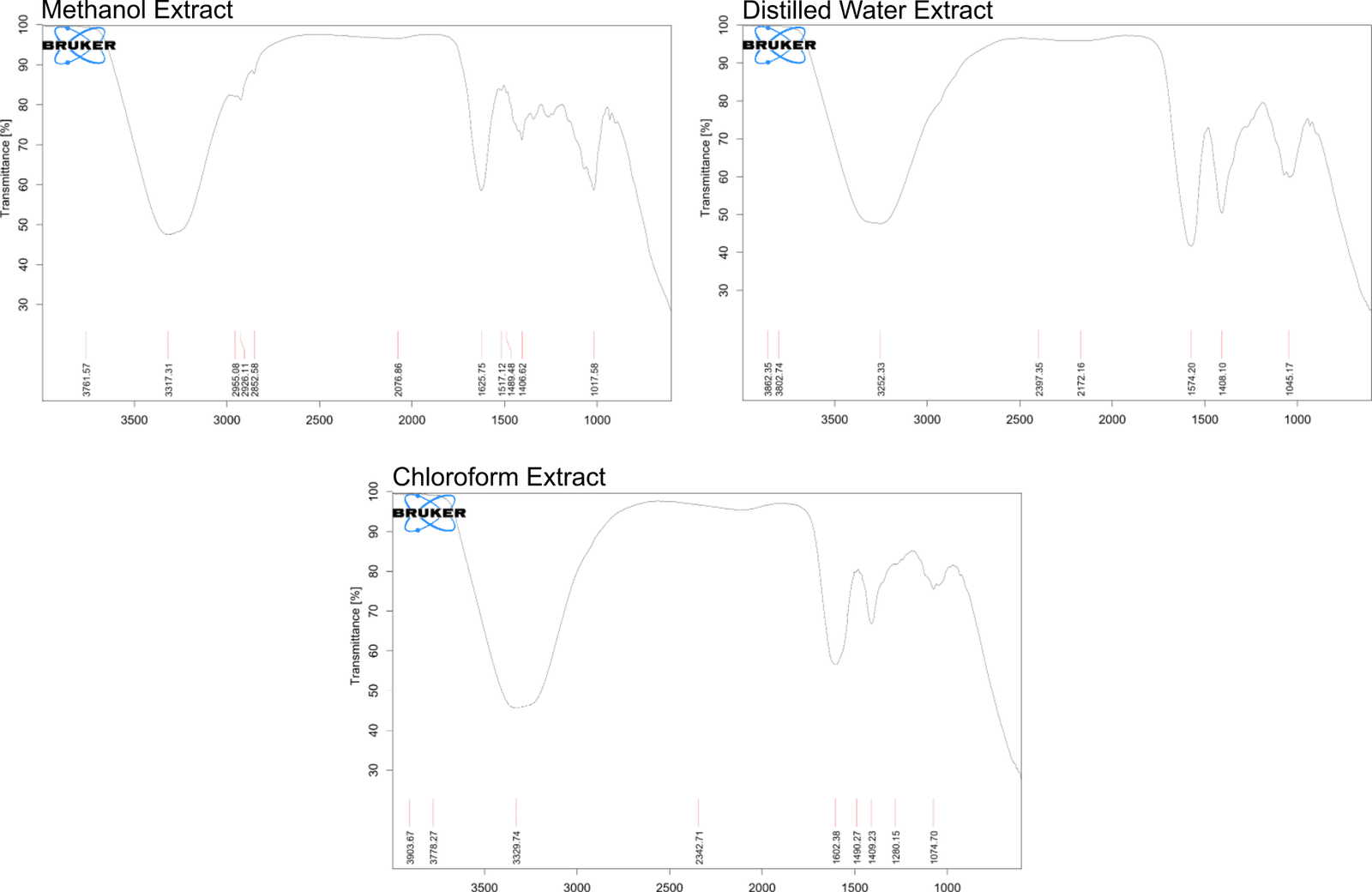 Figure 4. Analysis of functional groups in methanolic, distilled water, and chloroform extracts of Strobilanthes urens by FTIR.