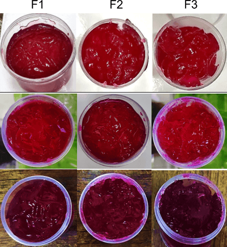 Figure 1. Red dragon fruit extract gel. F1, F2, and F3 represent gel formulations with Carbopol 940 and TEA percentage ratios of 0.5:0.3, 1.2:0.7, and 2.0:1.2, respectively