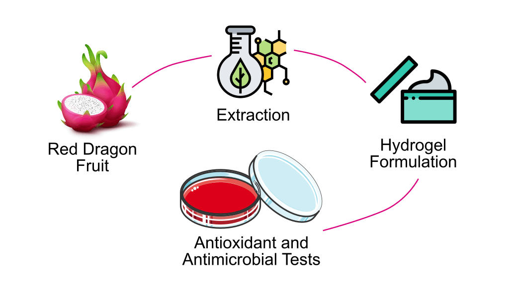 Formulation and Stability Evaluation of Red Dragon Fruit (Hylocereus polyrhizus) Extract Gel