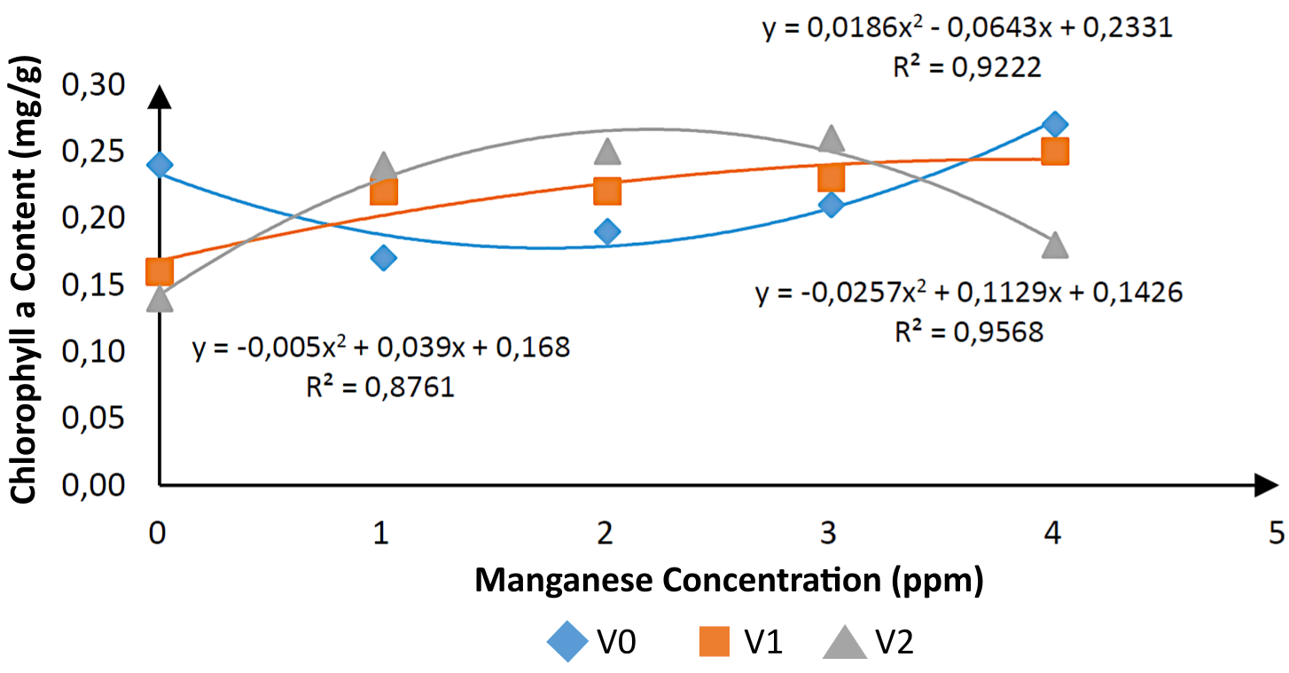 Figure 1. Average chlorophyll a content of Cavendish banana seedlings under different manganese concentrations and fertilizer treatments.
