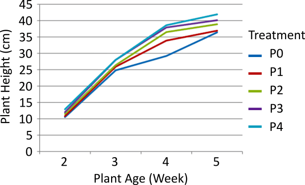 Figure 1. Graph of edamame soybean plant height at various doses of cow manure compost. Note: P0= no fertilizer application, P1 = cow manure compost at 5 tons ha⁻¹, P2 = cow manure compost at 10 tons ha⁻¹, P3 = cow manure compost at 15 tons ha⁻¹, P4 = cow manure compost at 20 tons ha⁻¹.