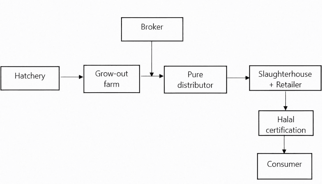 Figure 1. Chicken meat supply chain flow in Wonokromo Market, Surabaya.