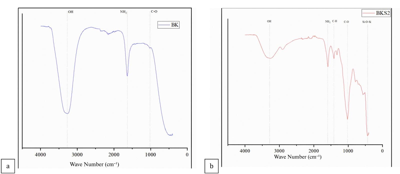 Figure 1. FTIR spectra of (a) Chitosan and (b) Chitosan–silica composite.
