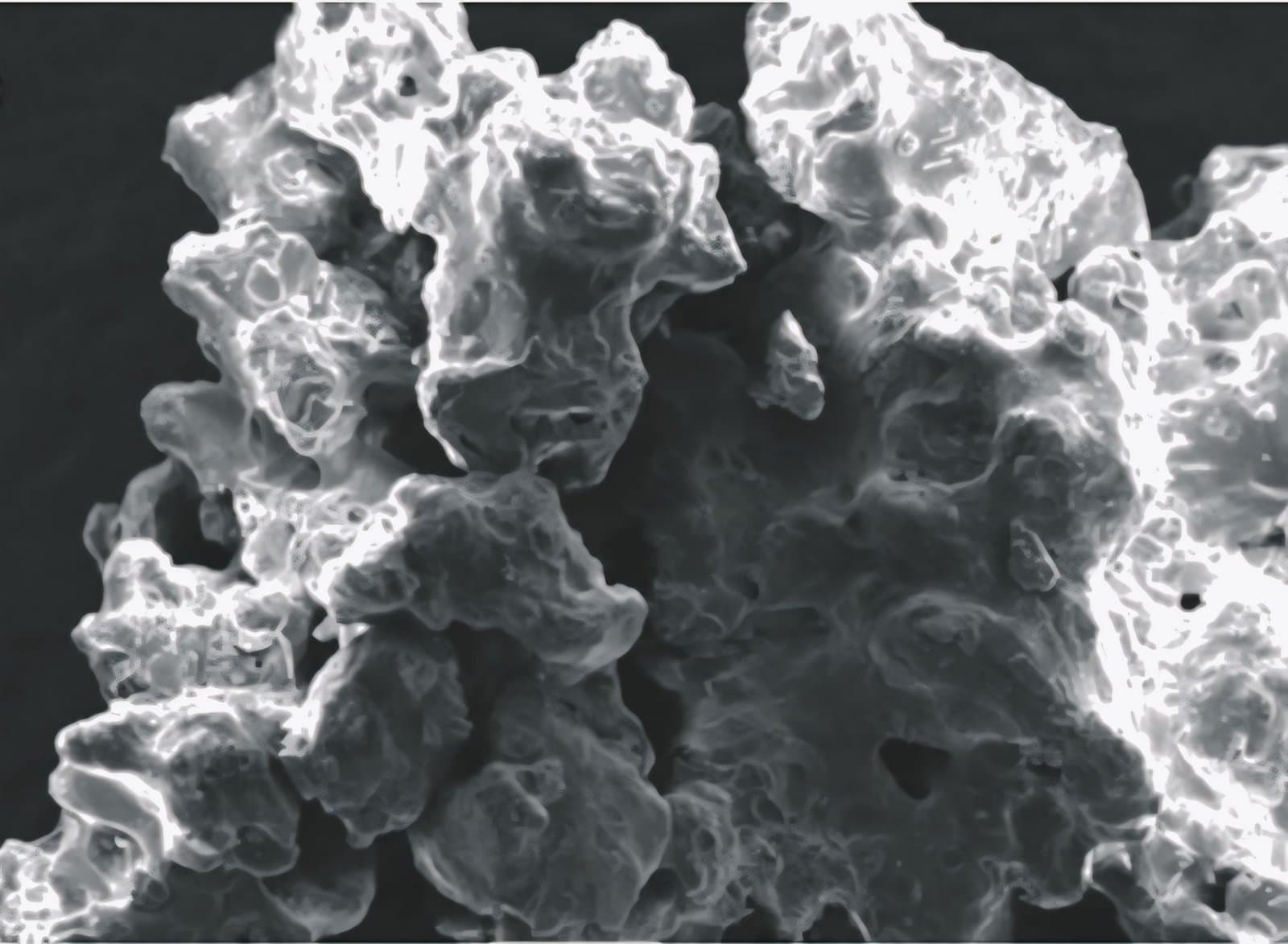 Figure 2. Microcapsule morphology observed by SEM at 150× magnification.